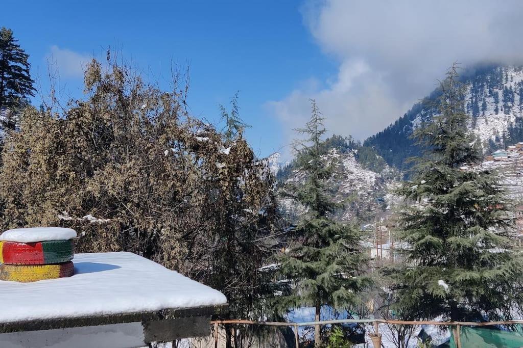 Jibhi Highness River Side Hotel Bagian luar foto